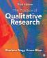 The Practice of Qualitative Research