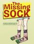The Missing Sock