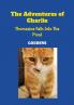 The Adventures of Charlie