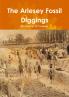 The Arlesey Fossil Diggings