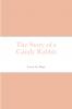 The Story of a Candy Rabbit