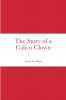 The Story of a Calico Clown