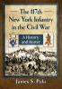The 117th New York Infantry in the Civil War