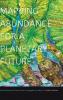 Mapping Abundance for a Planetary Future