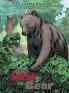 The Lost Bear