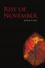 Rise of November