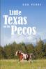 Little Texas On the Pecos