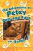 The Adventures of Petey Pots and Pans