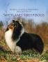 Medical Genetic & Behavioral Risk Factors of Shetland Sheepdogs
