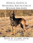 Medical Genetic & Behavioral Risk Factors of Belgian Malinois
