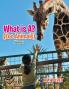 What Is A? (Zoo Animals)