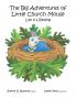The Big Adventures of Little Church Mouse