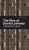 Rise of David Levinsky