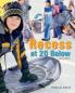 Recess at 20 Below Revised Edition