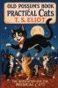 The Illustrated Old Possum's Book of Practical Cats