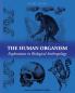 The Human Organism