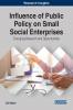 Influence of Public Policy on Small Social Enterprises