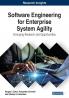 Software Engineering for Enterprise System Agility