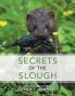 Secrets of the Slough