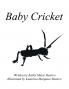 Baby Cricket