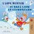 I Love Winter (English Irish Bilingual Children's Book)