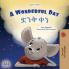 A Wonderful Day (English Amharic Bilingual Children's Book)