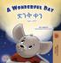 A Wonderful Day (English Amharic Bilingual Children's Book)