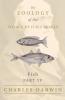 Fish - Part IV -  The Zoology of the Voyage of H.M.S Beagle ; Under the Command of Captain Fitzroy - During the Years 1832 to 1836
