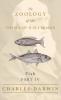 Fish - Part IV -  The Zoology of the Voyage of H.M.S Beagle