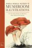 Anna Maria Hussey's Mushroom Illustrations