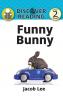 Funny Bunny