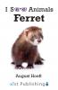 Ferret