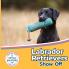 Labrador Retrievers Show Off