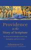 Providence in the Story of Scripture