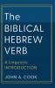 Biblical Hebrew Verb