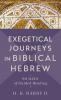 Exegetical Journeys in Biblical Hebrew