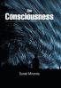 The Consciousness