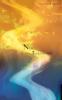 Levande Bibeln Swedish New Testament Paperback