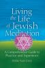 Living the Life of Jewish Meditation