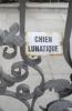 Chien Lunatique
