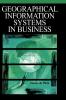 Geographic Information Systems in Business
