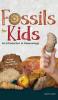 Fossils for Kids