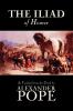 The Iliad by Homer Classics Literary Criticism Ancient and Classical Poetry Ancient Classical & Medieval