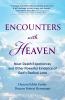 Encounters with Heaven