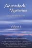 Adirondack Mysteries