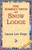 The Bobbsey Twins at Snow Lodge