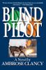 Blind Pilot
