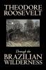Through the Brazilian Wilderness by Theodore Roosevelt Travel Special Interest Adventure Essays & Travelogues