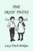 The Irish Twins Illustrated Edition (Yesterday's Classics)
