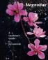 Magnolias